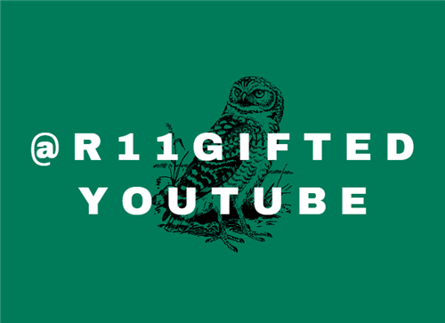 Region 11 Youtube Gifted 