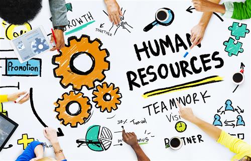 human resources, teamwork, hands